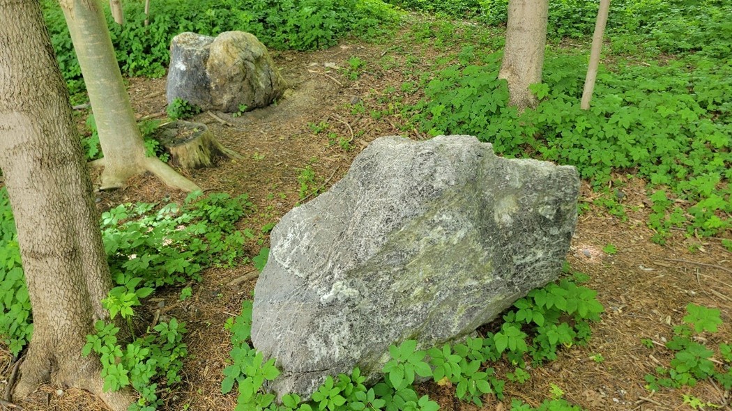 Site 11